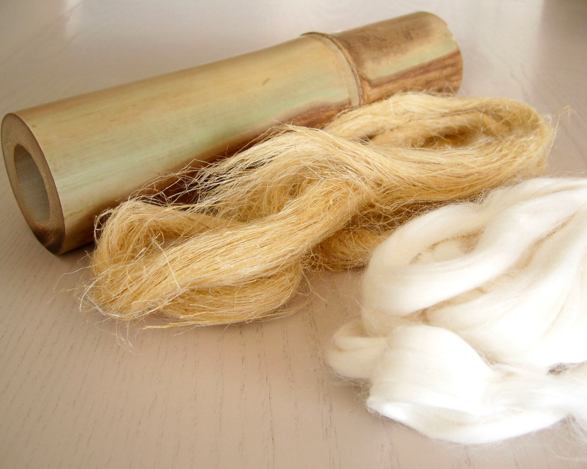 cellulosic-fibers-image